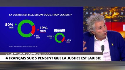 Gilles-William Goldnadel revient sur le système judiciaire en France