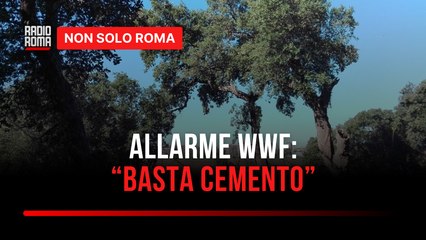 Pomezia, il progetto sulla nuova bretella stradale preoccupa il WWF: "Ancora cemento, basta!"