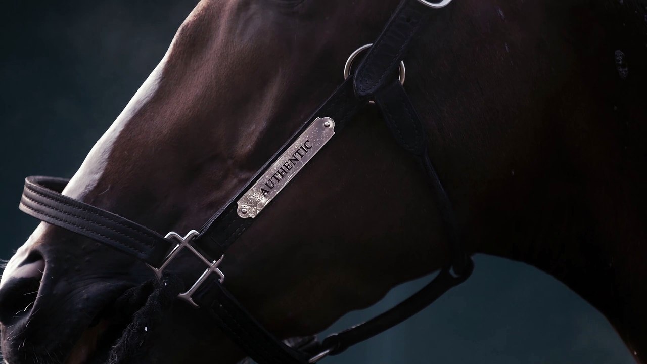Spendthrift - Authentic 2