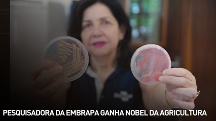 Pesquisadora da Embrapa ganha "nobel" da agricultura
