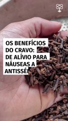 De alívio para náuseas a antisséptico natural; os benefícios do cravo