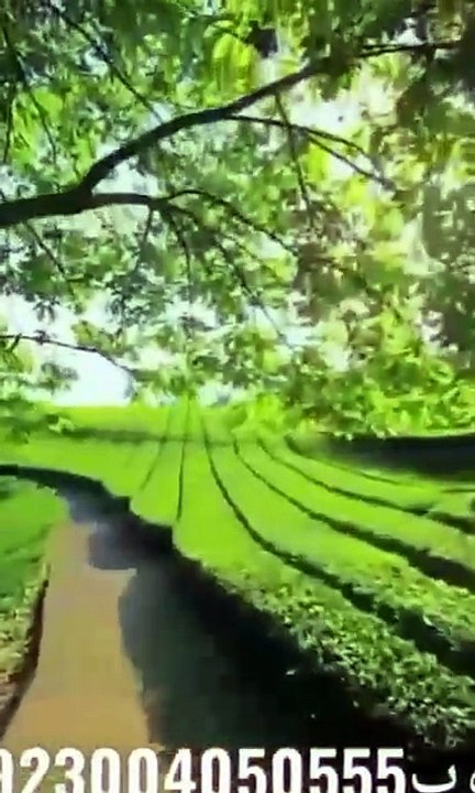 ساعة كاملة من اروع تلاوات القران الكريم