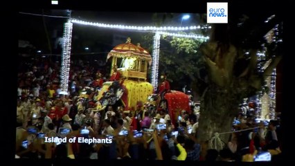 Elkezdődött Veszprémben a Planet lens természetfotó és dokumentumfilm-fesztivál