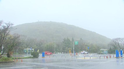 [[출근길 YTN 날씨 5/16] ] 출근길 중부·남해안 짙은 안개 주의...남해안·제주도 '폭우' / YTN
