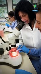 Mariangela Hungria gana el Premio Mundial de la Alimentación 2025