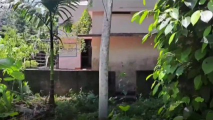 കാട്ടാനപ്പേടിയിൽ ഒരു അംഗൻവാടി.. 17 കുട്ടികളിൽ എത്തുന്നത് 4 പേർ മാത്രം.. | Kollam