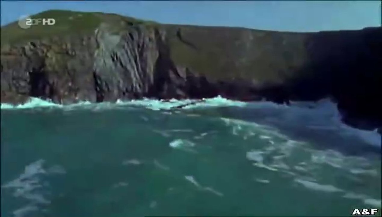 Rosamunde Pilcher -073- Flügel der Hoffnung