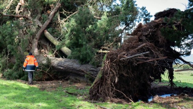 TasNetworks not equipped to handle 2024 storm event and outages, review finds