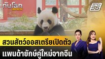 สวนสัตว์ออสเตรียเปิดตัวแพนด้ายักษ์คู่ใหม่จากจีน | ทันโลก EXPRESS | 16 พ.ค. 68