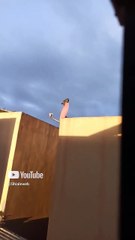 amanece en Tijuana nublado frío y un pájaro se para en una antena Dish animales y mascotas