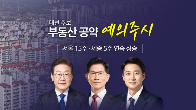 대선 후보 부동산 공약은?... 존재감 약해진 부동산 [앵커리포트] / YTN
