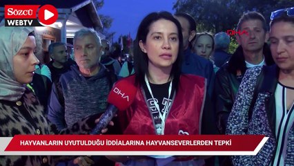 Barınakta hayvanların uyutulduğu iddialarına hayvanseverlerden tepki
