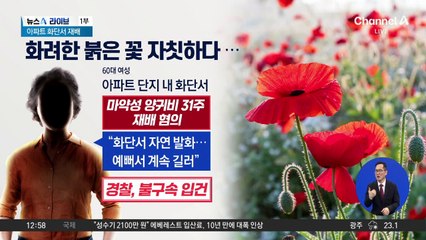 “꽃이 예뻐서”…마약성 양귀비 키우다 입건