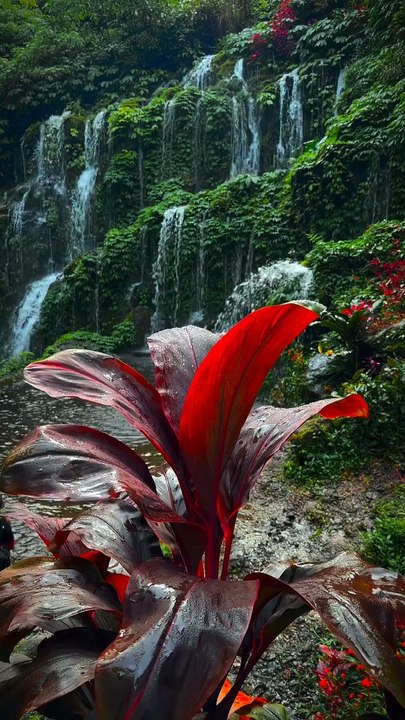nature Love