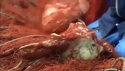 日本と朝鮮半島第07回東シナ海の光と影