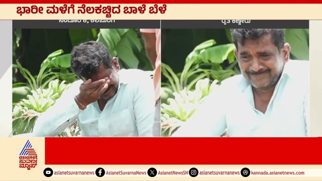 ಬಿರುಗಾಳಿ ಮಳೆಗೆ ನೆಲ ಕಚ್ಚಿದ ಬಾಳೆ | Crop Loss in Kalaburagi | Suvarna News | Kannada News