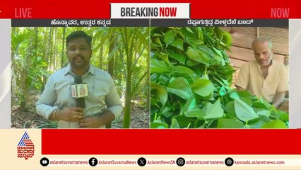 ಪಾಕಿಸ್ತಾನಕ್ಕೆ ರಫ್ತಾಗುತ್ತಿದ್ದ ವಿಶೇಷ ವೀಳ್ಯದೆಲೆ ಬಂದ್ | Suvarna News | Kannada News