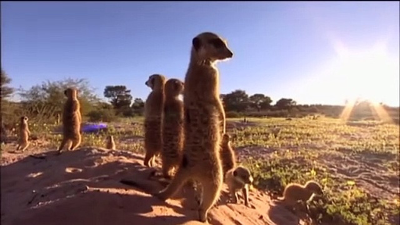 De fûke | show | 2000| S1 | Official Trailer