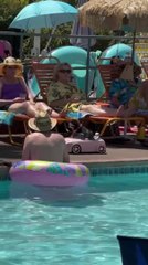 Dog Enjoys Driving Toy Car Alongside the Poolside