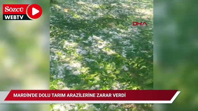 Mardin'de dolu tarım arazilerine zarar verdi; oluşan hortum kamerada