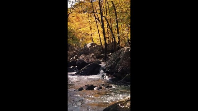 Oración Poderosa para Iniciar el Día 🙏 | 8 Minutos con Dios Cada Mañana | Salmo 118:24