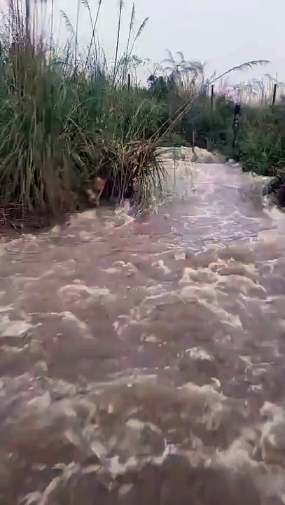 Inundaciones
