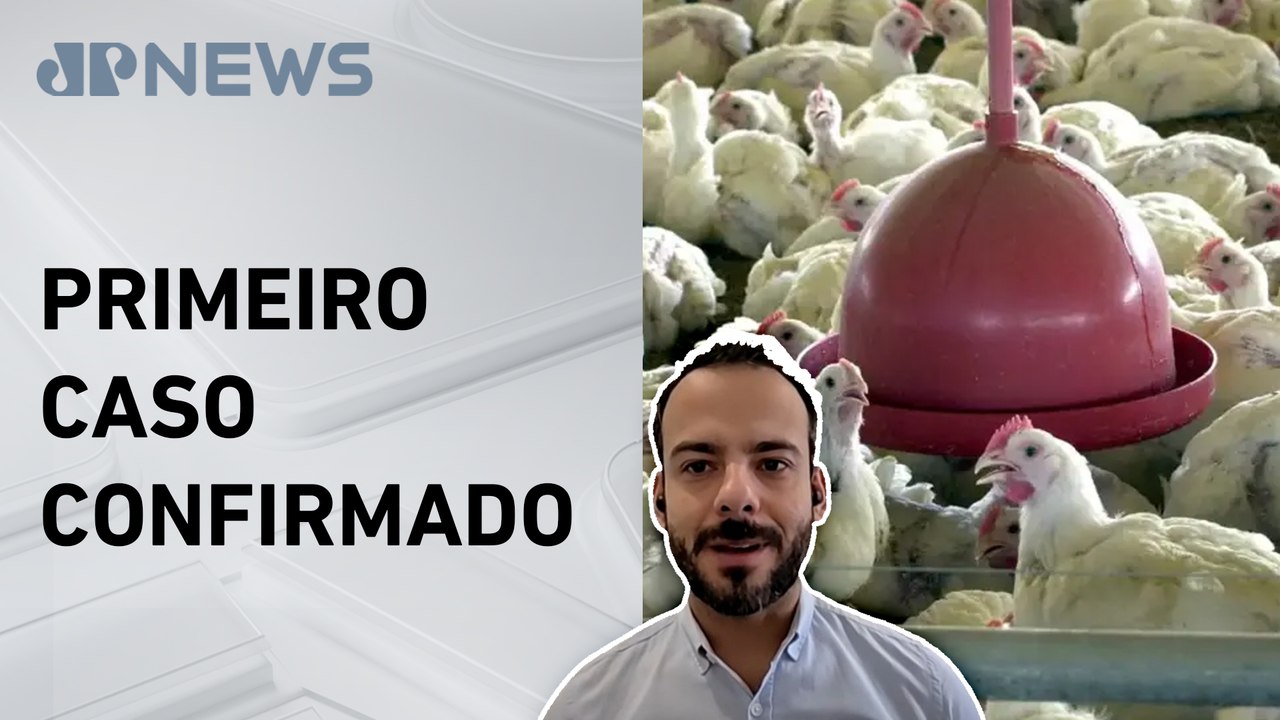 Avanço da gripe aviária preocupa exportações do Brasil? Especialista analisa