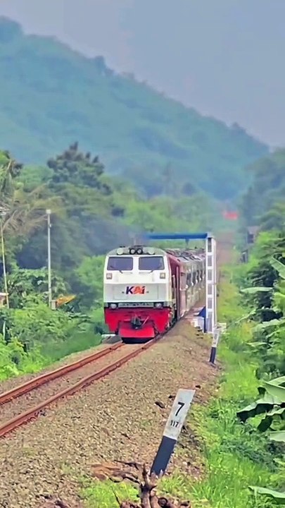 Liburan gaess