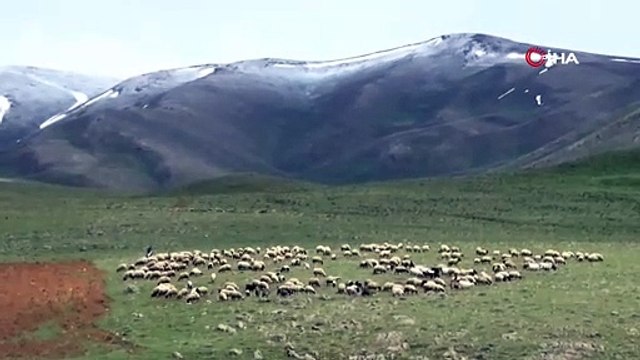 Bu iki fotoğraf aynı ilimizde çekildi: Bir yanda kış diğer yanda bahar!