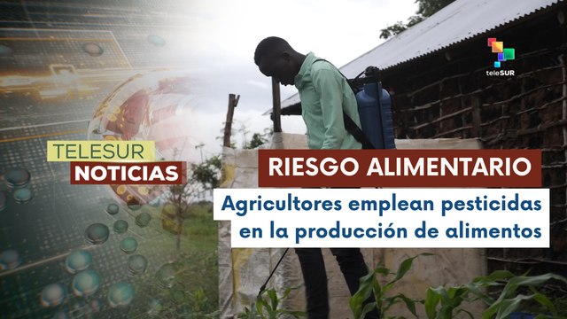 Revelaciones alarmantes sobre pesticidas en Kenia