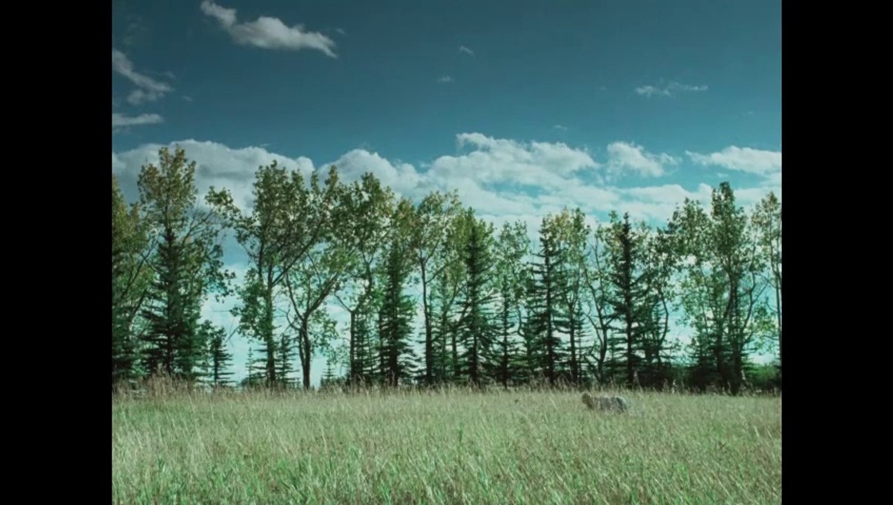 Die, My Love Clip OV