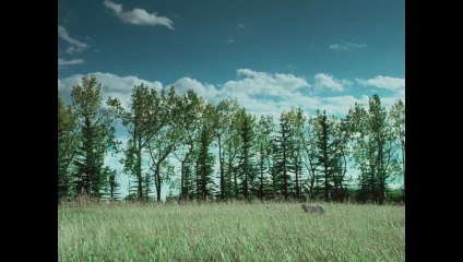 Die, My Love Clip OV 🎬