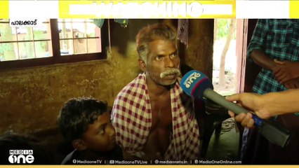 പാലക്കാട് മലമ്പുഴ എലിവാലിൽ വീട്ടിനകത്ത് പുലി
