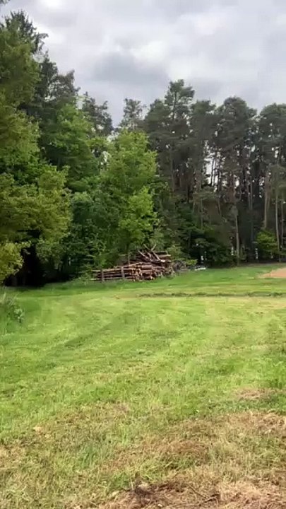 Aggressiver Uhu in der Nähe von Haundorf