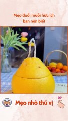 Mẹo đuổi muỗi hữu ích  bạn nên biết