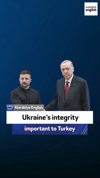 Retired Turkish ambassador: Ukraine’s integrity important to Turkey