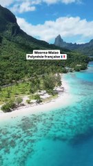 On a découvert l’île spectaculaire de Moorea