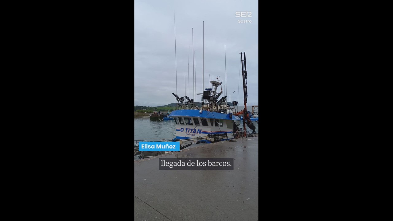 ¿Cómo se transforma el boquerón en anchoa?