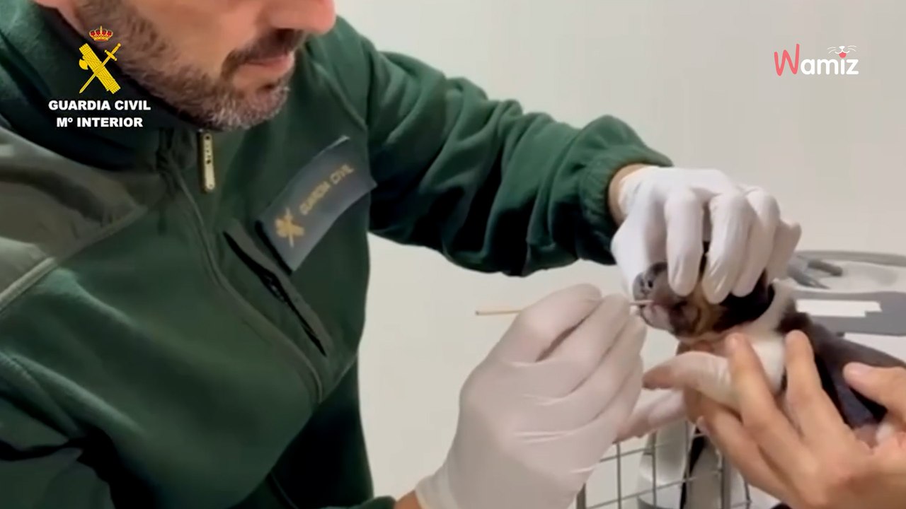 Para el coche y una cámara lo caza haciendo algo repugnante en Zaragoza