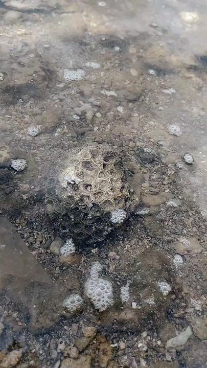 tidak ada yang peduli dengan susahnmu