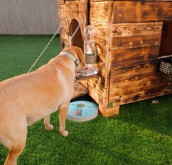 BRICOLAGE AVEC LE BOIS : Du plus simple au plus beau !