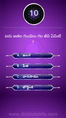 GK In Telugu || General Knowledge Questions Telugu || Interesting Questions Telugu#gkquiz #gk #generalknowledge #gkquestion #gkchallenge #generalknowledgequestions #techgrowtelugu #telugugk #teluguquiz #compitativeexams #gktricks