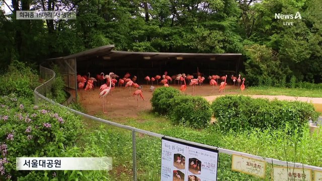 17년 만의 아기 에뮤·5년 만의 아기 홍학 탄생