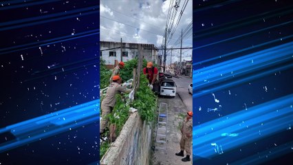 Belém: homem flagrado arremessando cãozinho em terreno abandonado