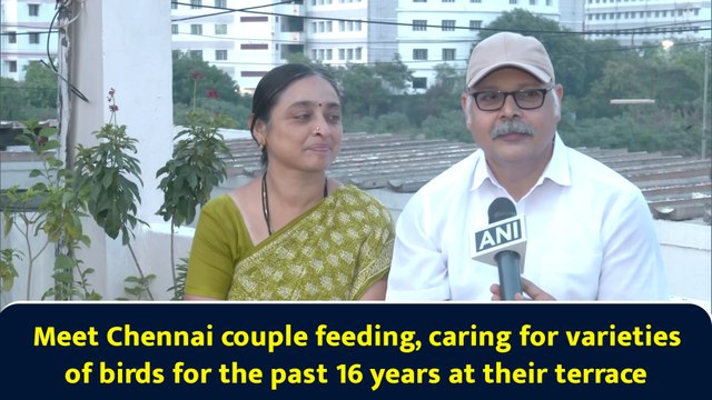 Meet Chennai couple feeding, caring for varieties of birds for the past 16 years at their terrace