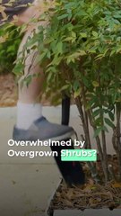 Transform Your Outdoor Space with Shrub Removal Services | Lawn Masters