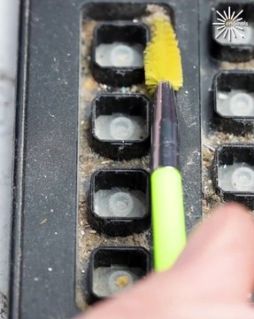 Deep cleaning of a dirty wired keyboard!🧽⌨️