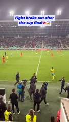 Riera, kupa maçında çıldırdı ve kulübeye saldırdı!