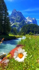 Is chand Jese chehry sy TU muskraya kr