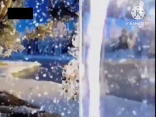 bTV Cinema - Ричи рич (2011)